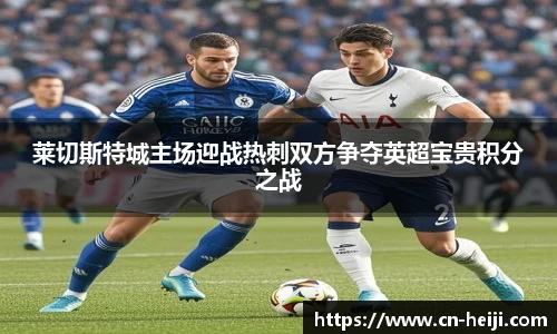 莱切斯特城主场迎战热刺双方争夺英超宝贵积分之战